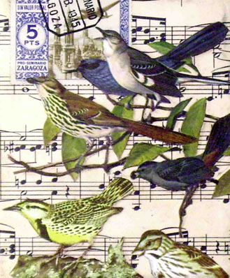 Birds and Stamps