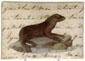 Seal on Script